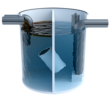 Fitodepuración tipo Francés