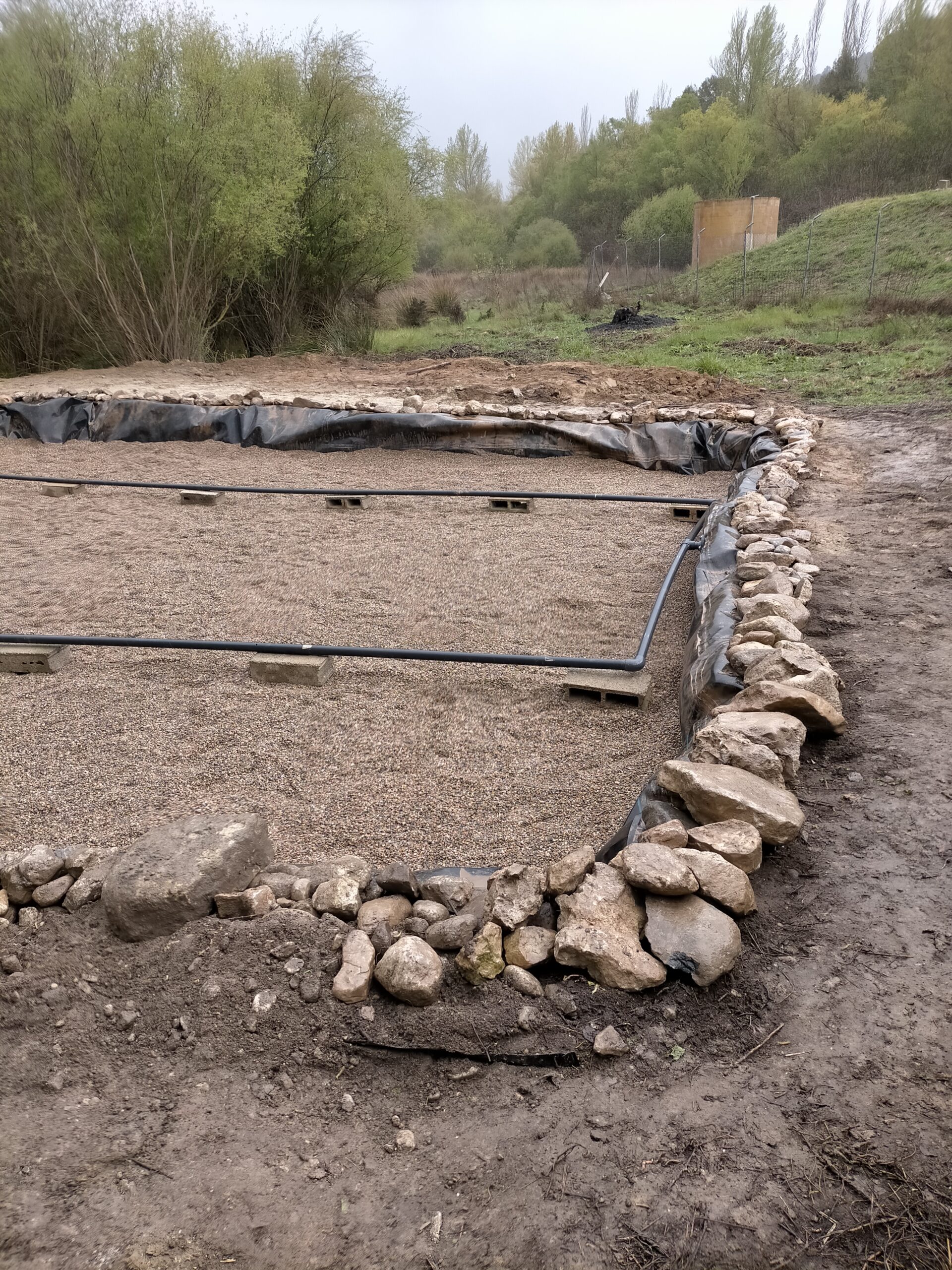 Fitodepuración tipo francés